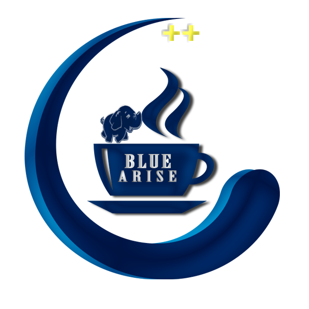 Final year projects at bluearise technologies